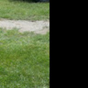 Meet your Posher, Benadette